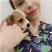 veterinary surgeon with bachelor and masters